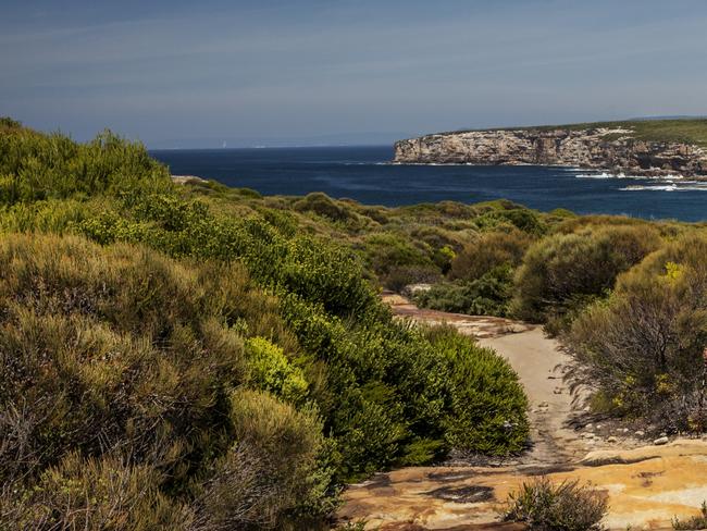 Sydney Regional Illegal Dumping squad found the spare parts in the Royal National Park. Picture: David Finnegan