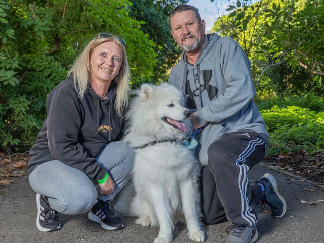 RSPCA SA's Million Paws Walk in Adelaide on May 25, 2025. Picture: Ben Clark