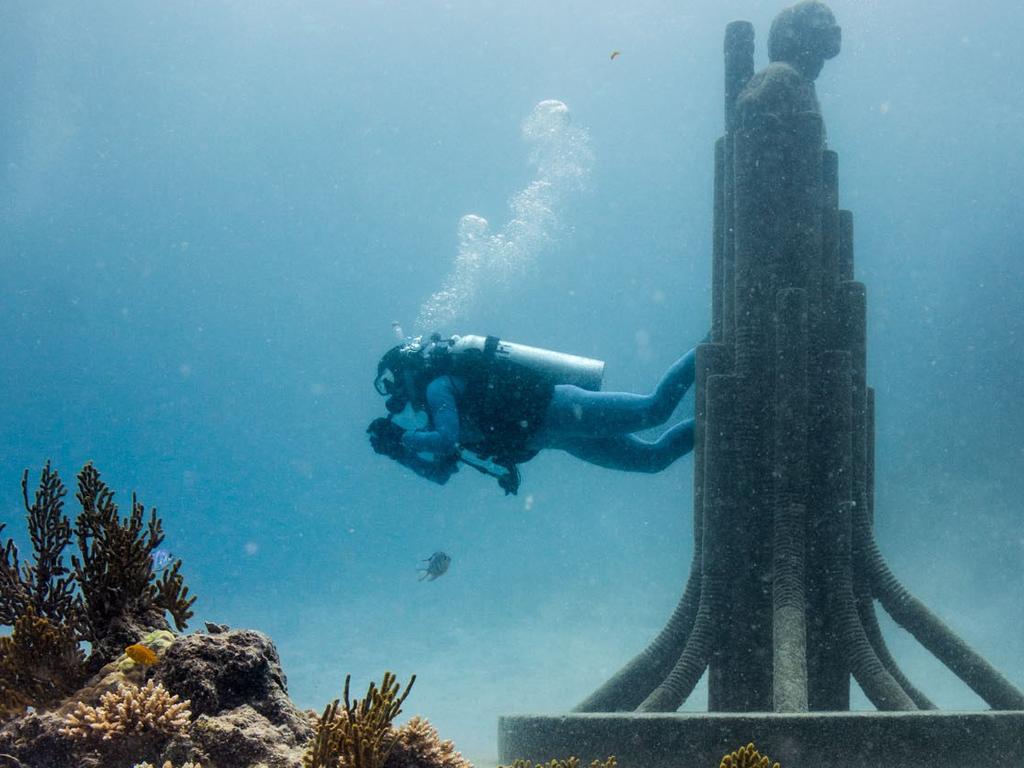 Jacinta Jefferies said World Ocean Day in Townsville was getting bigger every year.