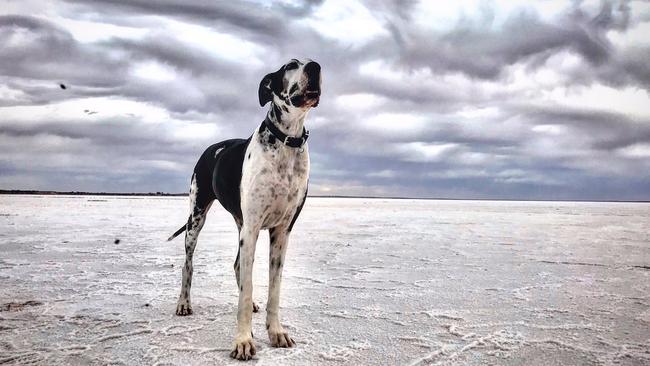 Rain clouds gather over Lake Hart, near Woomera, in South Australia. Picture: Lydia Kellner