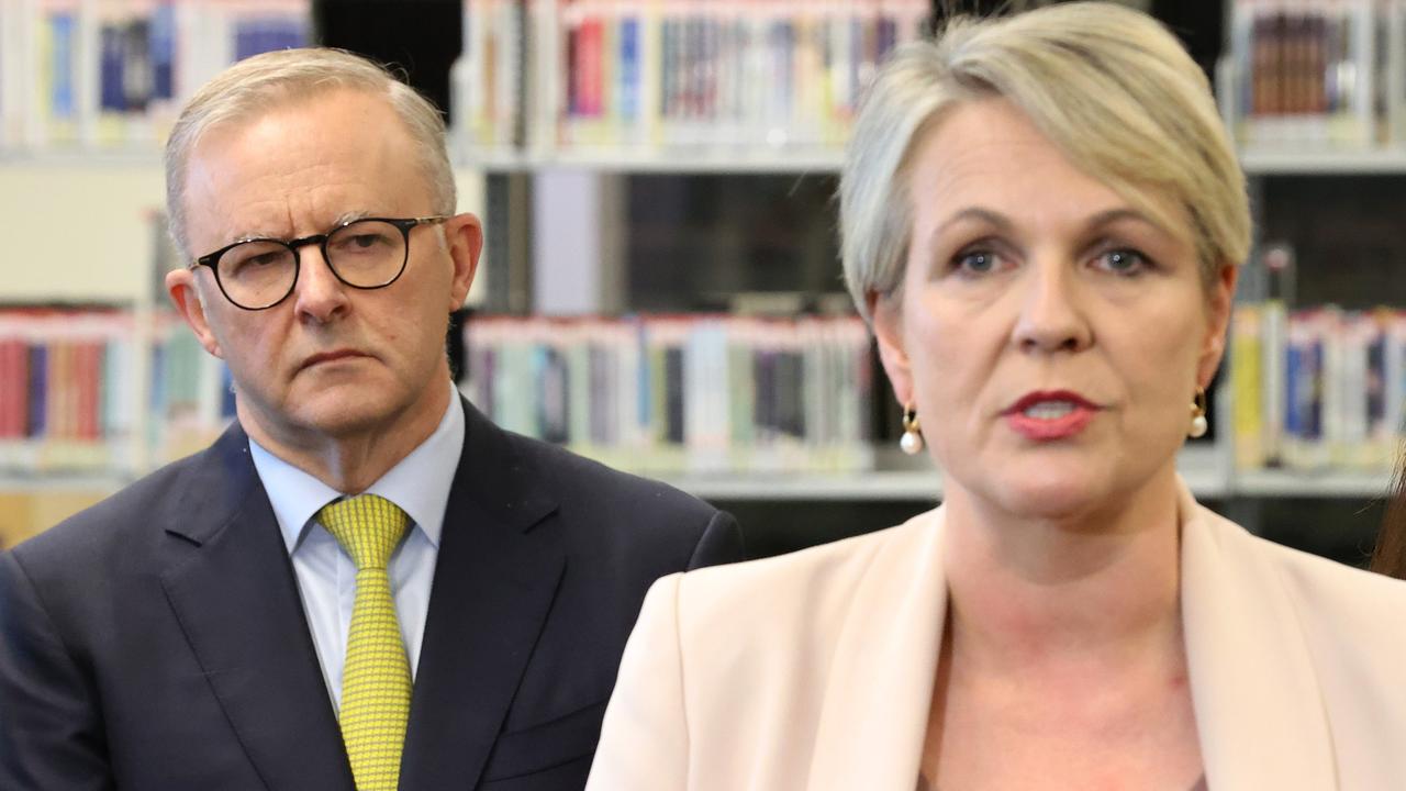 Labor leader Anthony Albanese campaigning with education spokeswoman Tanya Plibersek in Melbourne last week. Picture: Liam Kidston