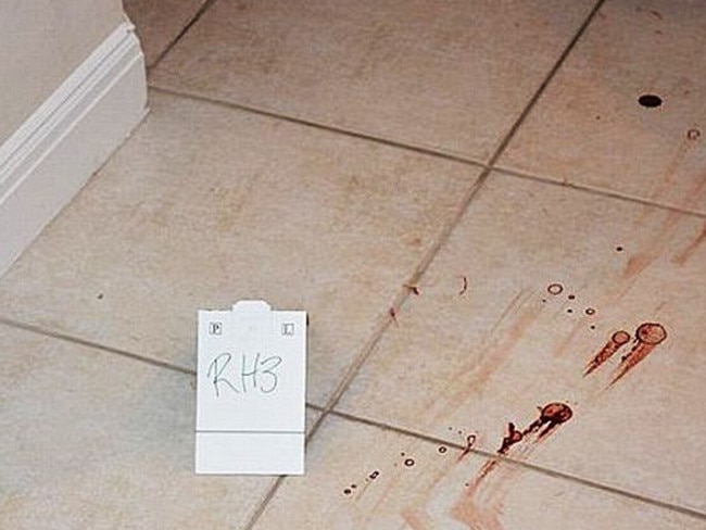 Austin Harrouff Crime Scene Photos Show Aftermath Of Florida Face Biting Attack Daily Telegraph