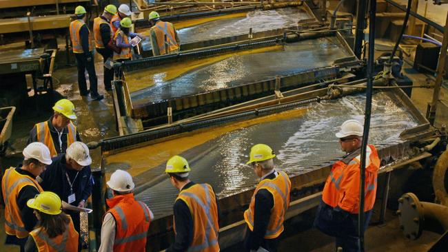 Renison Bell Tin Mine operations to boom, tour of the processing plant