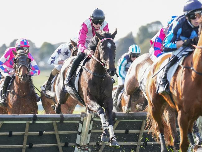 Affluential (NZ) ridden by Will Gordon (NZ) jumps as it wins the Grand National Hurdle at Sportsbet Sandown Lakeside Racecourse on August 04, 2024 in Springvale, Australia. (Photo by Scott Barbour/Racing Photos via Getty Images)