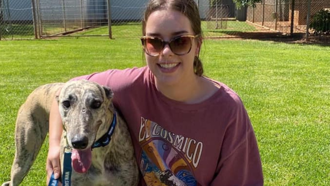 Greyhounds As Pets adoption program expands to western NSW | Daily ...