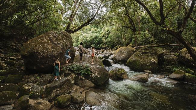 Beautiful: a guided walk in Mossman Gorge