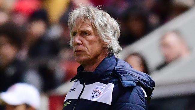 Adelaide United coach Gertjan Verbeek has led his side into the FFA Cup semi-finals. Picture: Getty Images