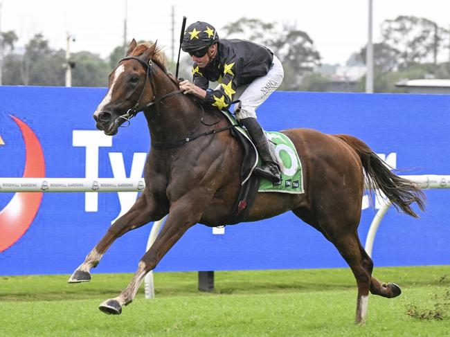 Nash Rawiller rides Belvedere Boys to victory in the TAB Country Classic at Rosehill Gardens on November 30, 2024. Picture: Bradley Photos