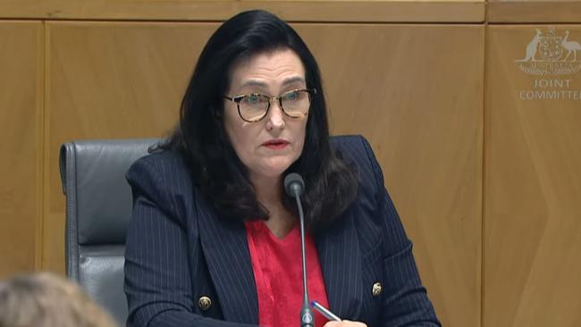 Senator Deborah O'Neill at the Inquiry.