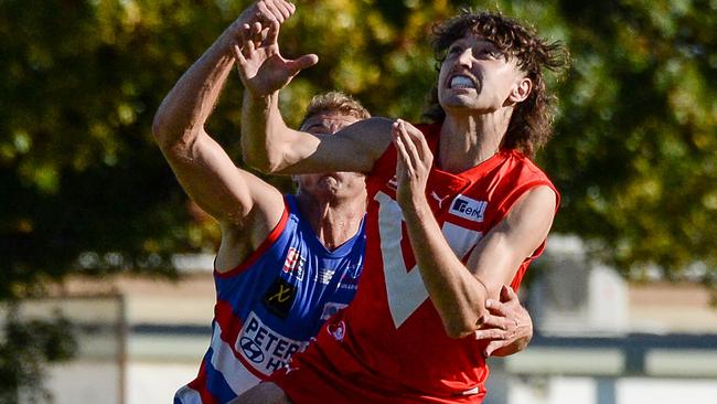 Jacob Bauer of North Adelaide has firmed as a mid-season draft chance. Picture: Brenton Edwards