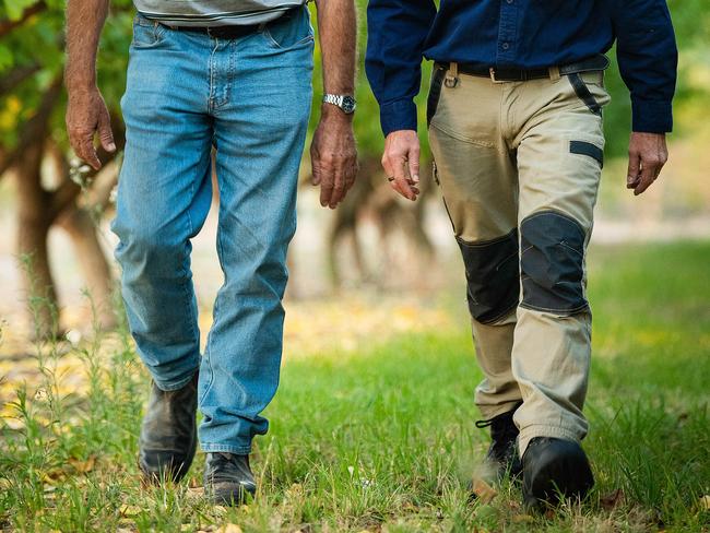 Jason Size and Tim Grieger from Summerfruit SA on April 28th, 2021, in Tim's Renmark apricot orchard.Picture: Tom Huntley