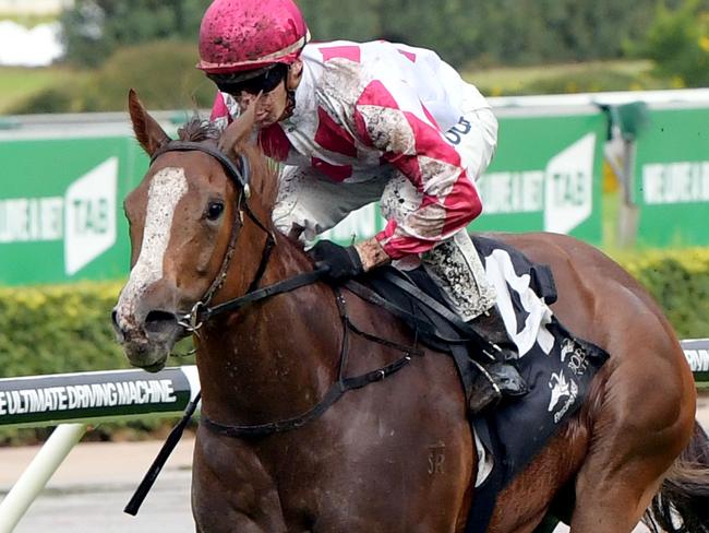 Race 1 - 11:30AM CLUB REDFERN PLATE (1000 METRES).Winner 'Champagne Cuddles' ridden by Jason Collett.
