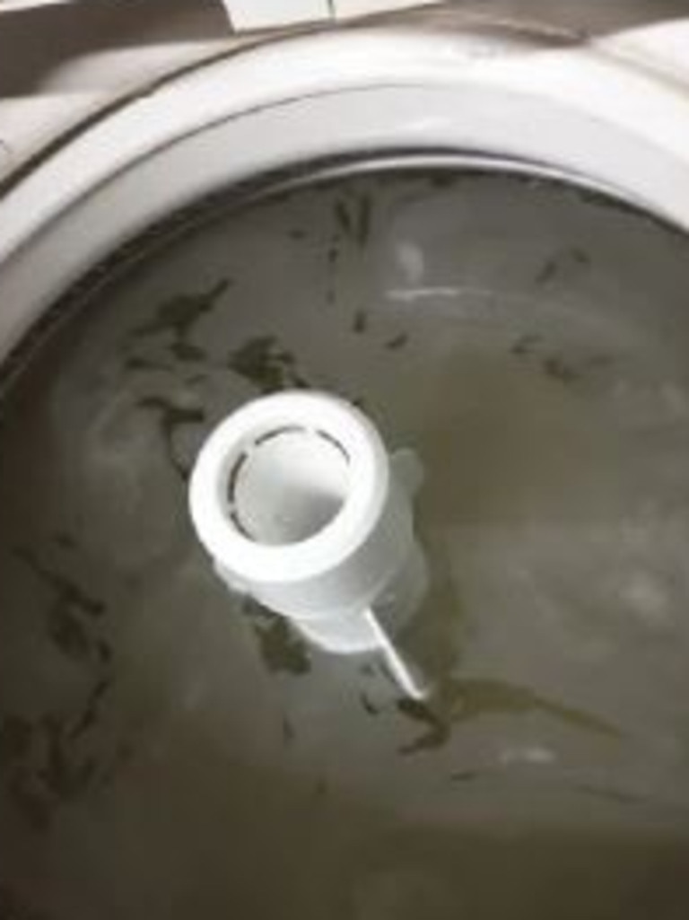 Another woman who tried it found ‘little scummy particles’ in her dirty water, saying it was ‘gross but satisfying’. Picture: Facebook