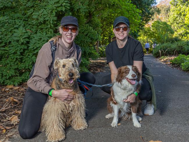 RSPCA SA's Million Paws Walk in Adelaide on May 25, 2025. Picture: Ben Clark