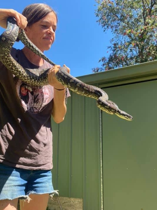 The only licenced snake catcher in Lismore fought for her licence in court after she was suspended for drug driving with THC she had a prescription for. Marion Nel, 48, appealed her suspended licence at Lismore Local Court after being charged with driving with a prescribed illicit drug present.