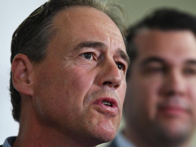 Federal Health Minister Greg Hunt says the mental health of parents  is paramount. Picture: AAP