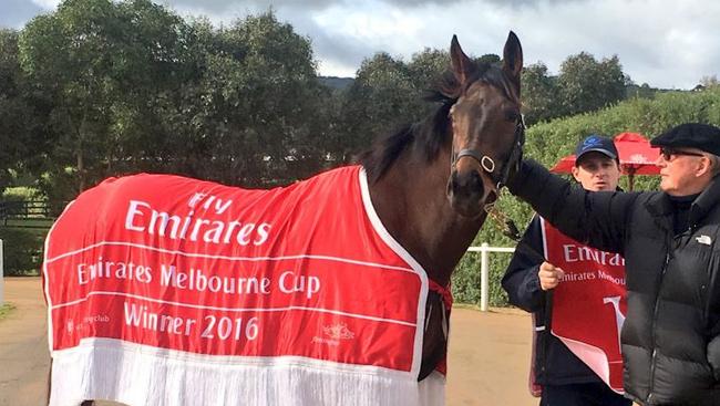 An image from the Flemington VRC Twitter account "Lloyd Williams and his 2016 #EmiratesMelbourneCup hero Almandin."