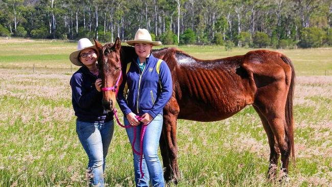 Kara Mielczarek and Ashleigh McGrath with Owen the Rescue Horse. Picture: Contributed