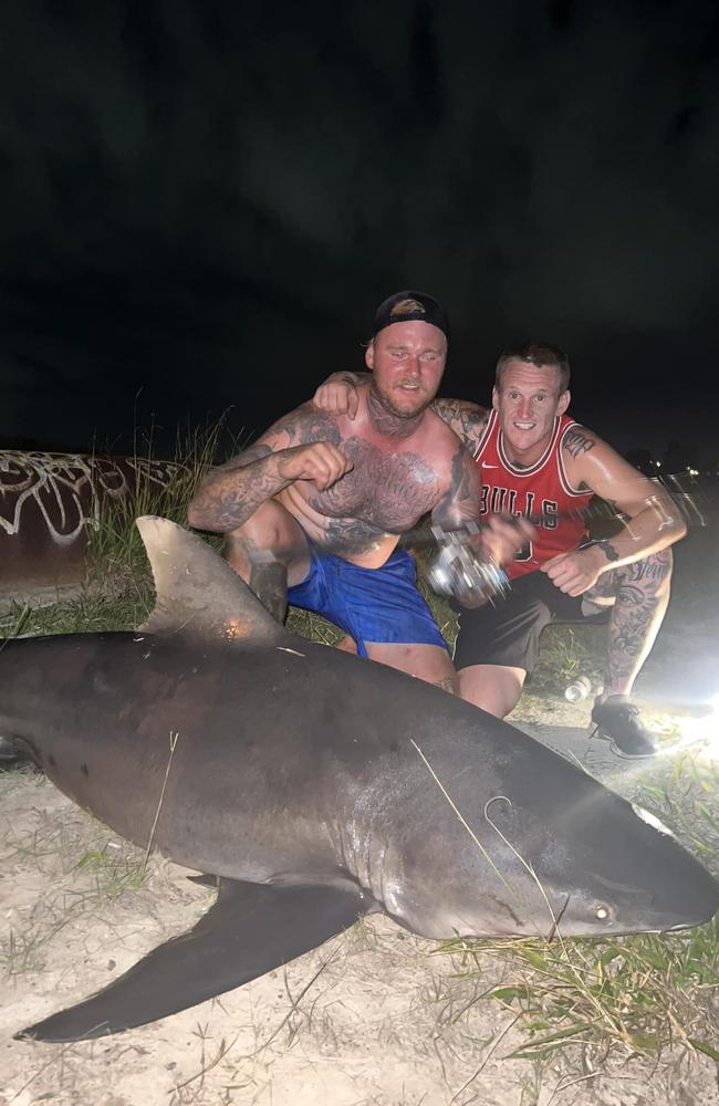 A shark claimed to have been caught at Lake Orr on the Gold Coast. Picture: Facebook
