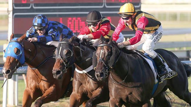 Spirit of Boom (outside) and Temple of Boom edge past Buffering in the Doomben 10,000. Picture: Jono Searle