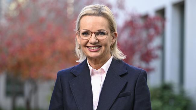 Opposition Leader Sussan Ley has a mountain to climb rebuilding the Liberals after their election wipe-out. Picture: NewsWire / Martin Ollman