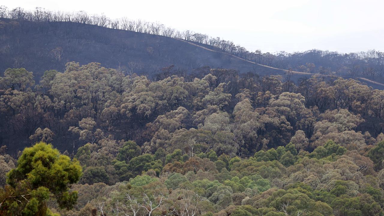 Scott Creek Conservation Park reopens after fire | The Advertiser