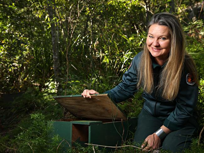 Melanie Tyas, a ranger from National Parks, with the little penguin house at Store Beach. Picture: Adam Yip