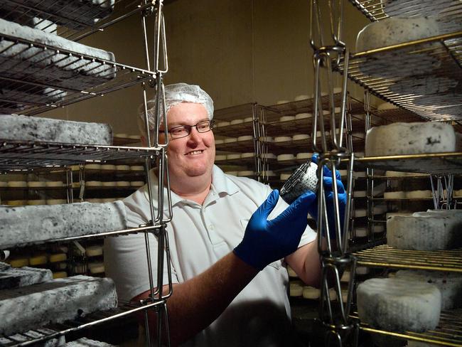 Head cheesemaker at Woombye Cheese Company Stefan Wilson. Photo: John McCutcheon