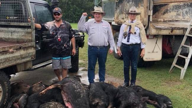 Matthew Dunne, Shane Knuth MP, Hon Bob Katter MP with a pile of dead swine at the Currajah Pig Hunt. Pic: SUPPLIED