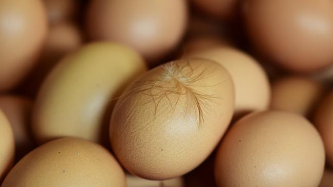 Egg is the most common food allergy — and also one of the most difficult to avoid. Picture: Zoe Phillips