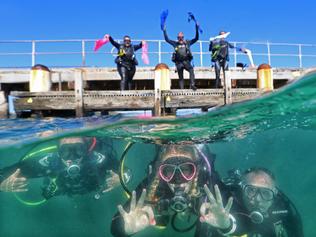 HOLD FOR HERALD SUN PIC DESK-
The Guiness World Record attempt at longest scuba diver chain along the pier at Rye. On the pier from L to R Ð Jessica Fitzgerald, Luke Ryan, Madi Anderson
In the water from L to R Ð Tessa Van Eekelen, Megan Beasley, Mark, Schenk. Picture: Alex Coppel.