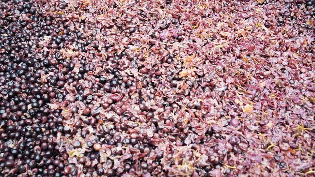 Shiraz soaked juniper berries. Picture: Supplied.