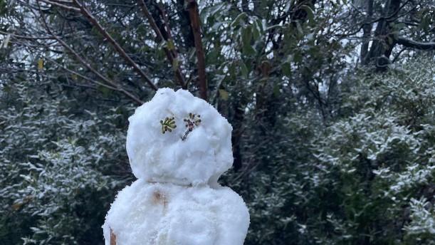 A snowman at Mt Donna Buang 5pm Saturday, following chilly snowfalls. Picture: Sarah Bailey via the Snow Alert Vic Facebook page.