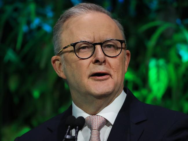 Prime Minister Anthony Albanese on the Gold Coast on Thursday. Picture: Scott Powick/NCA NewsWire