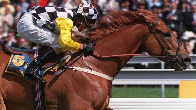 Champion racehorse Saintly has died. Picture: Darren Tindale