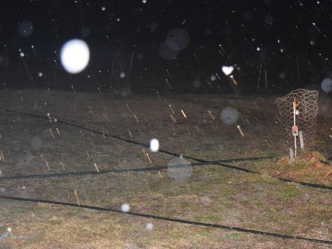 Sleet falling in Eukey in the early hours of June 4.