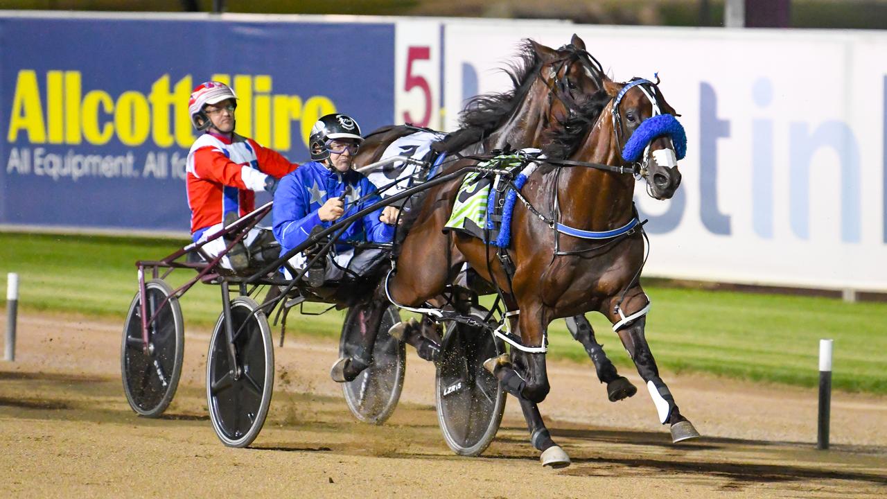 Star Kiwi pacer Dont Stop Dreaming will be a force in Friday night’s Terang Cup. Picture: HRNSW / Pacepix