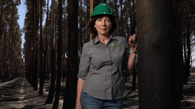 KIPT director Shauna Black examines a fire-damaged plantation on Kangaroo Island. Picture: Emma Brasier