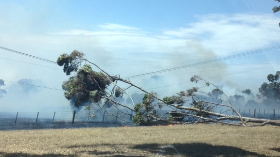 A downed powerline at Mickelham which eventually sparked a fire.