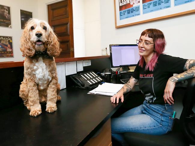 Research shows dogs in the office lead to people taking more breaks, which shows greater productivity. Picture: Ian Currie