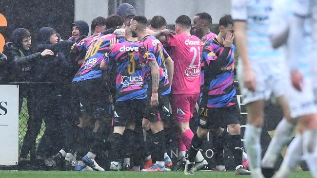 Avondale players celebrate a goal. Picture: Josh Chadwick