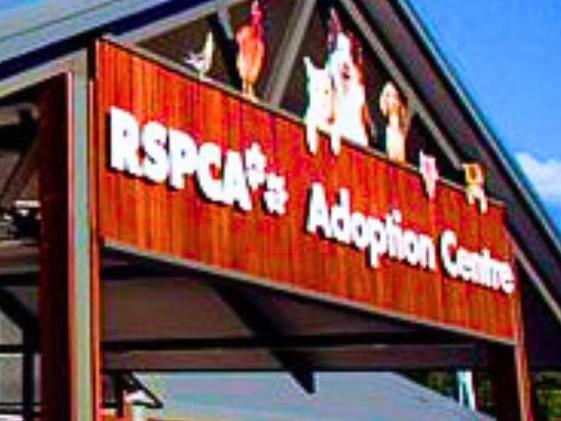 New state-of-the-art $20m RSPCA wildlife hospital for Brisbane