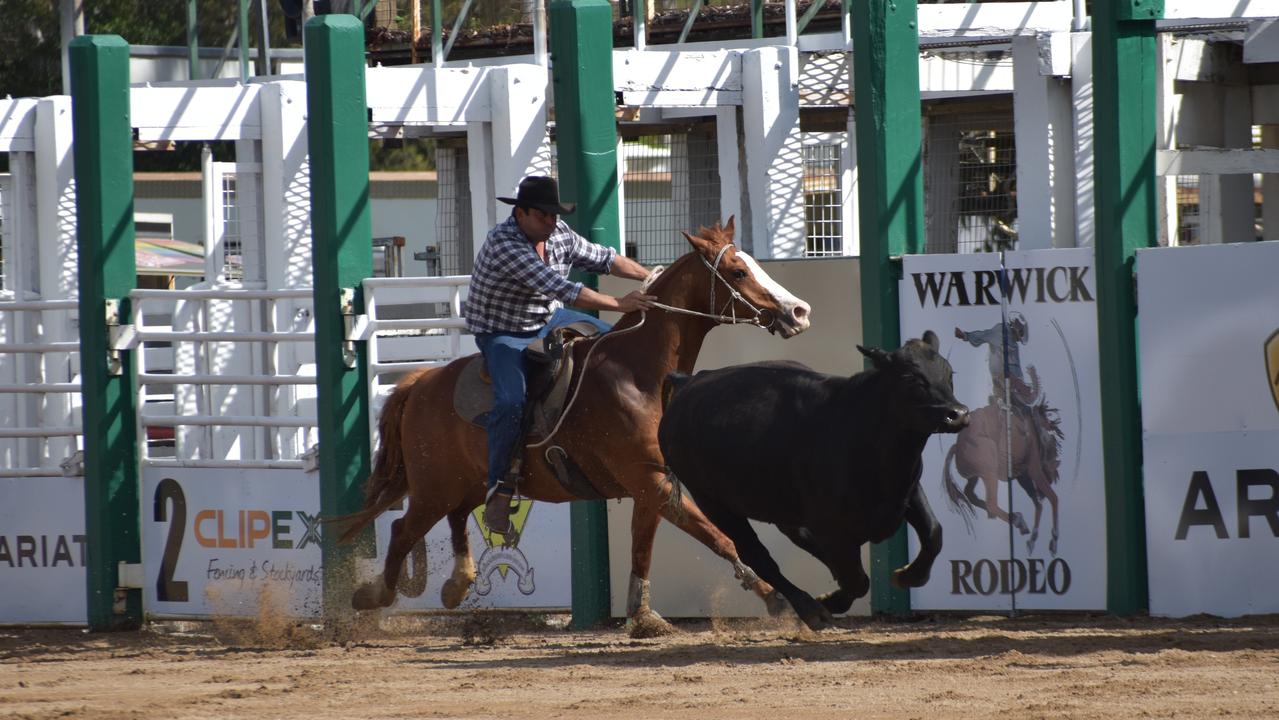 Matthew Evans riding Nyanda Crazy Cat in the Warwick Canning Downs Campdraft.