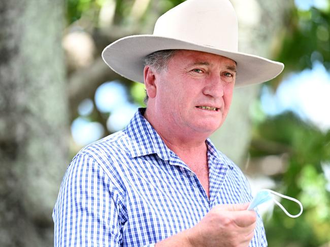 Deputy Prime Minister Barnaby Joyce. Picture: NCA NewsWire / Dan Peled