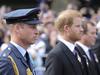 Harry and William side-by-side behind Queen