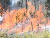 Large, rapidly moving grass fire spreads at Central Qld property