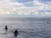Rescue remedy: Trip of a lifetime becomes saga at sea