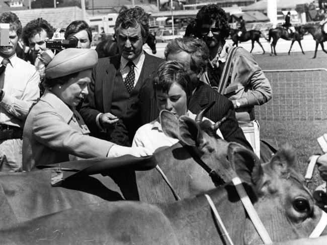 Queen Elizabeth II presents a ribbon for Best Jersey Cow to Jenny Sykes at the Launceston Show in 1981.