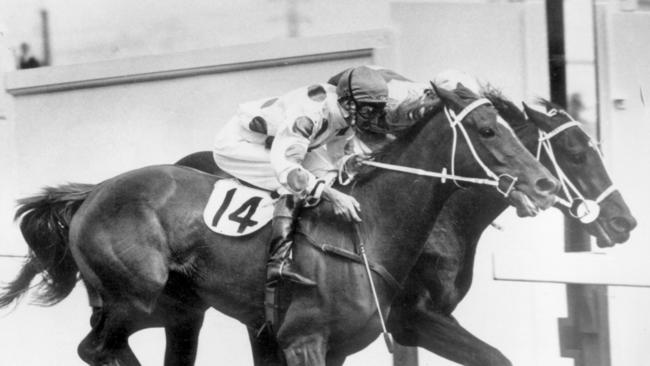 1965 Melbourne Cup finish: jockey Roy Higgins on "Light Fingers" (outside) edges out "Ziema" in a close finish.