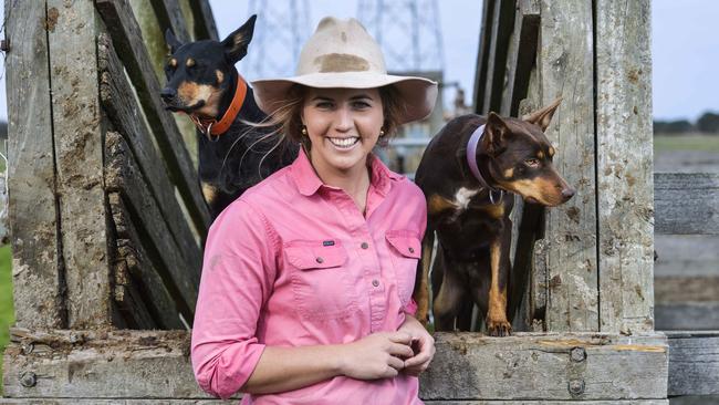 Deliver the goods: Fourth-generation West Gippsland farmer Claire Templeton, 25, runs Square Mile Meats at Nar Nar Goon. Pictured with Kelpies Pepi and Meg. Picture: Dannika Bonser